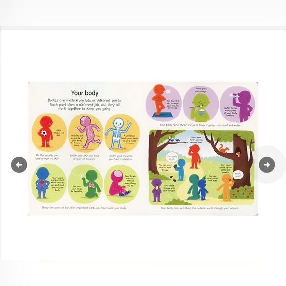 🌸 3/$25 🌸 My Very First Science Book - Picture 4 of 5